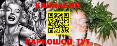 мдпв Бердск